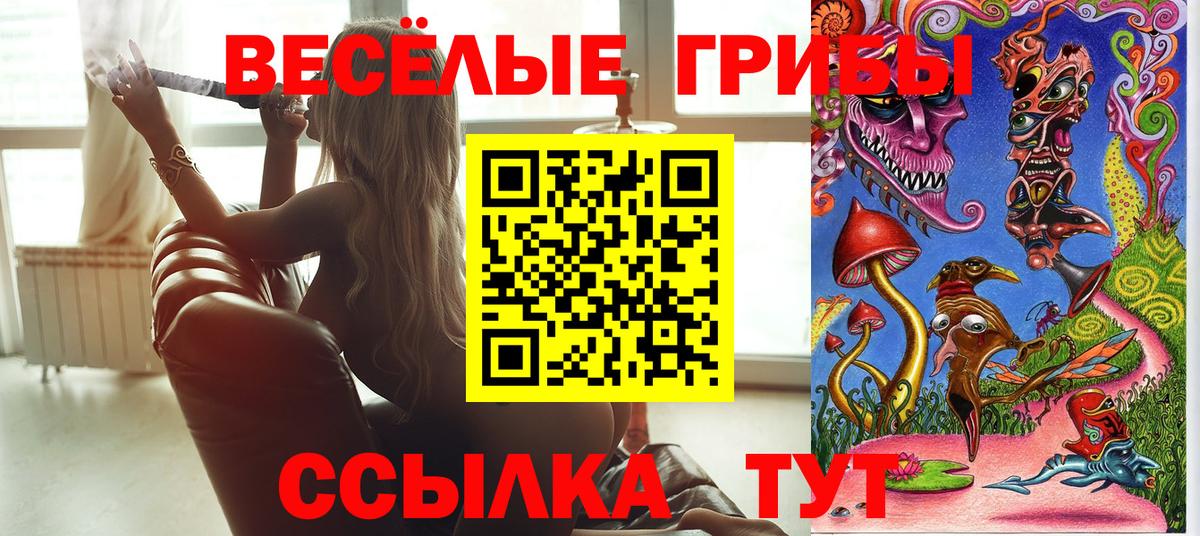 Псилоцибиновые грибы Cubensis  Вход с VPN  Псилоцибиновые грибы прущие грибы  Солнечногорск 